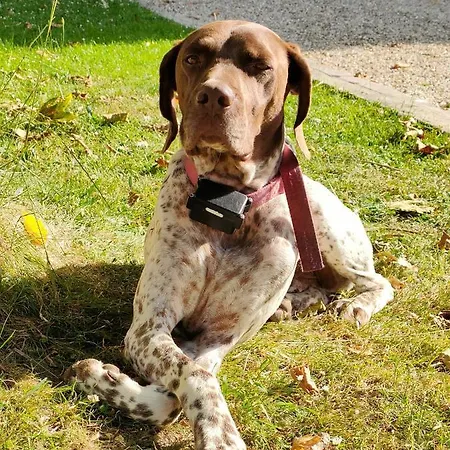 Manoir De L'aumonerie Saint-Martin-de-Boscherville